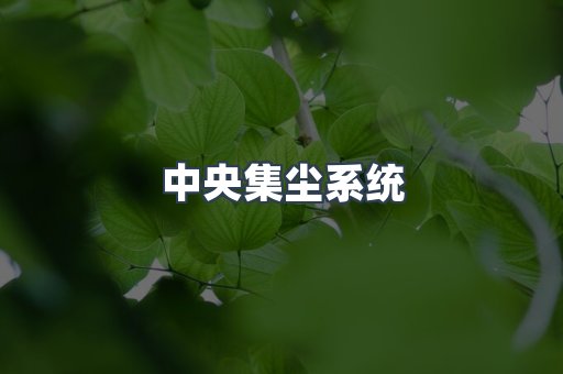 中央集尘系统
